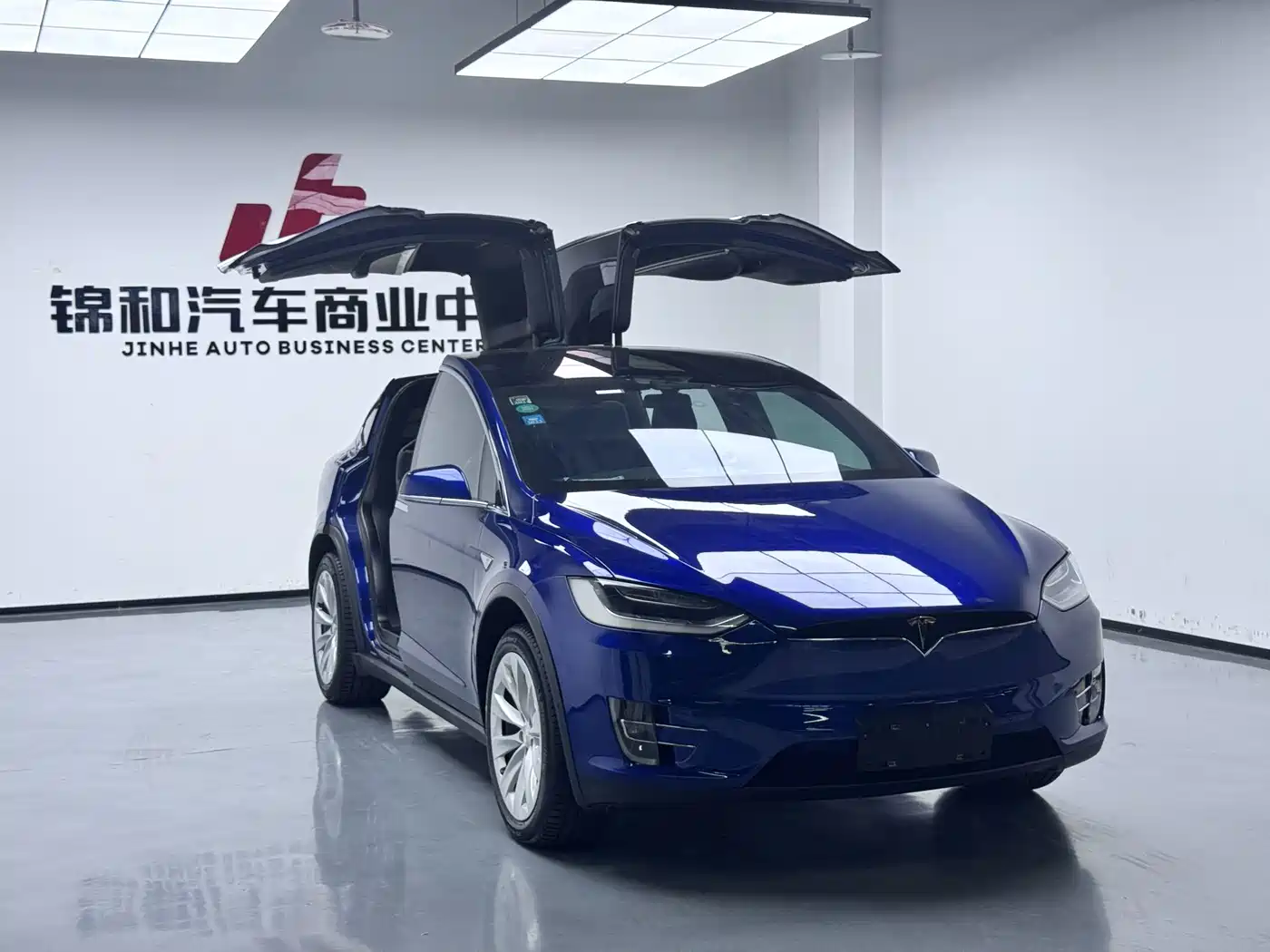 Tesla Model X 2016 2016 Model X 90D