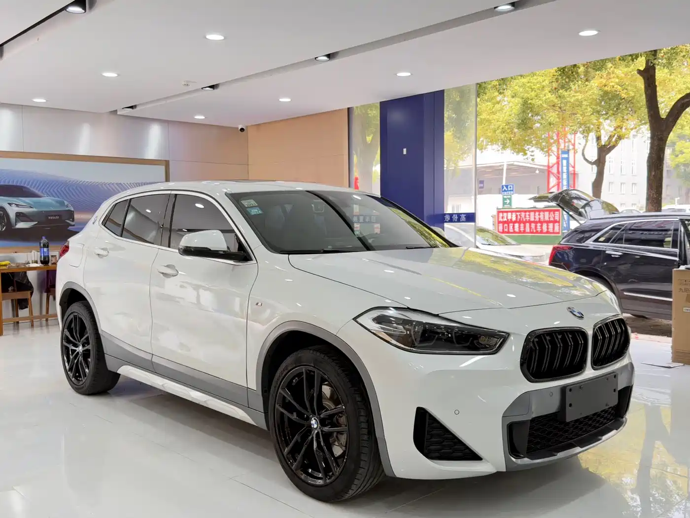 BMW X2