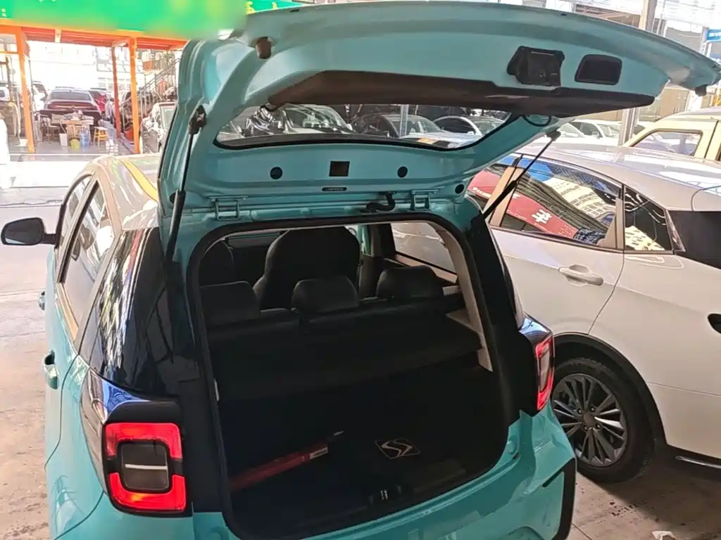 Sehol Flower Fairy 2021 2021 302km Luxury Edition 31.4kWh