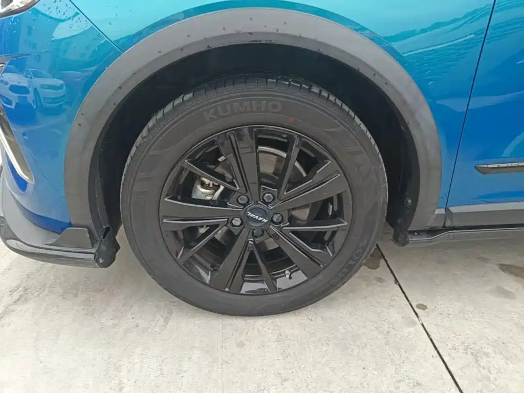 Haval Chitu 2022 2021 1.5T Silver Rabbit Turbo Edition