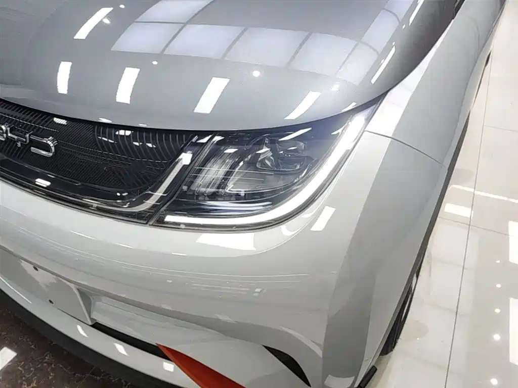 BYD Dolphin 2021 401km Knight Edition фото 24