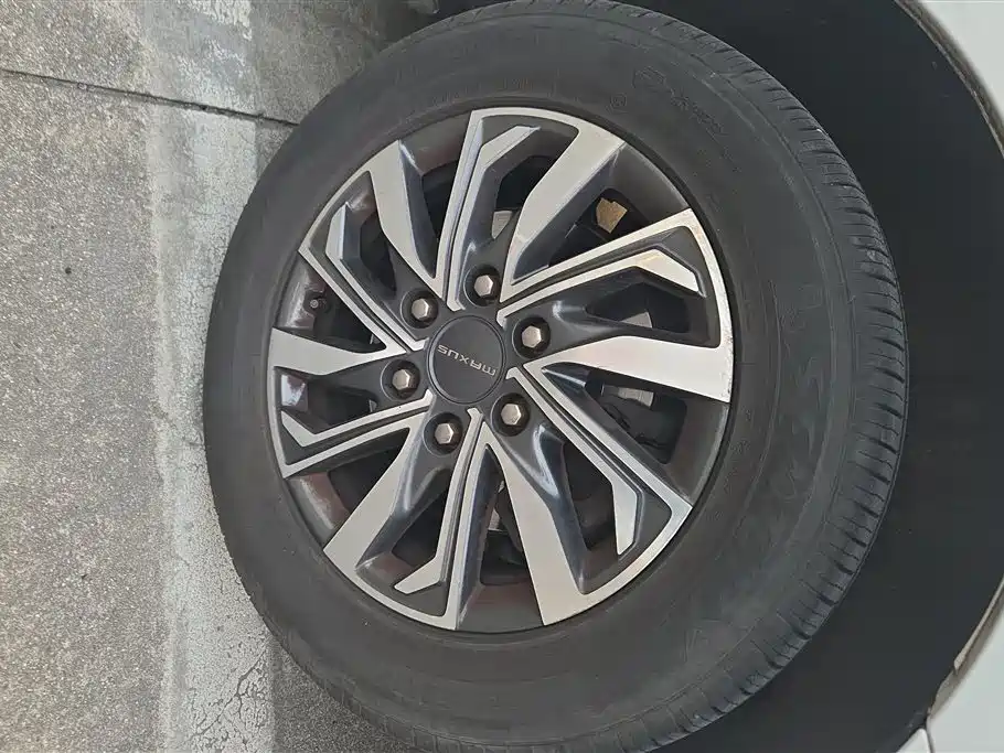 SAIC MAXUS CHASE G20