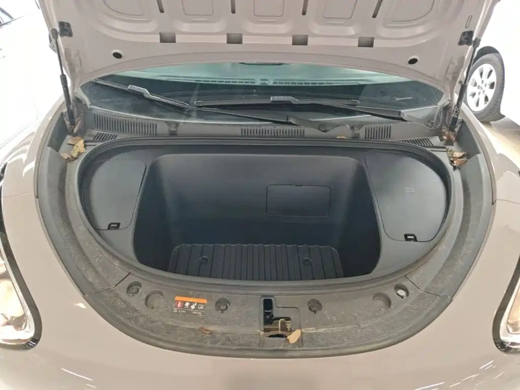 Geely Galaxy Starry Wish 2026 2026 Edition 310km Youth Version