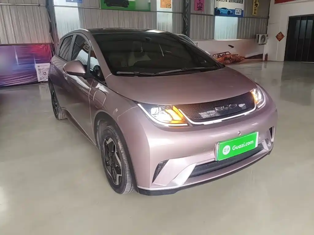 BYD Dolphin 2022 2021 Model 405km Fashion Edition
