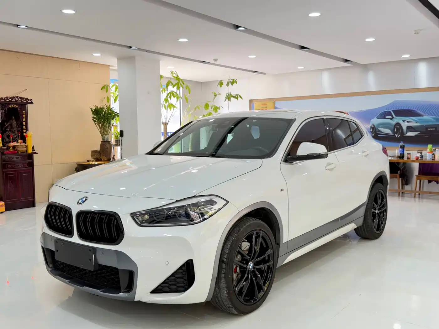 BMW X2