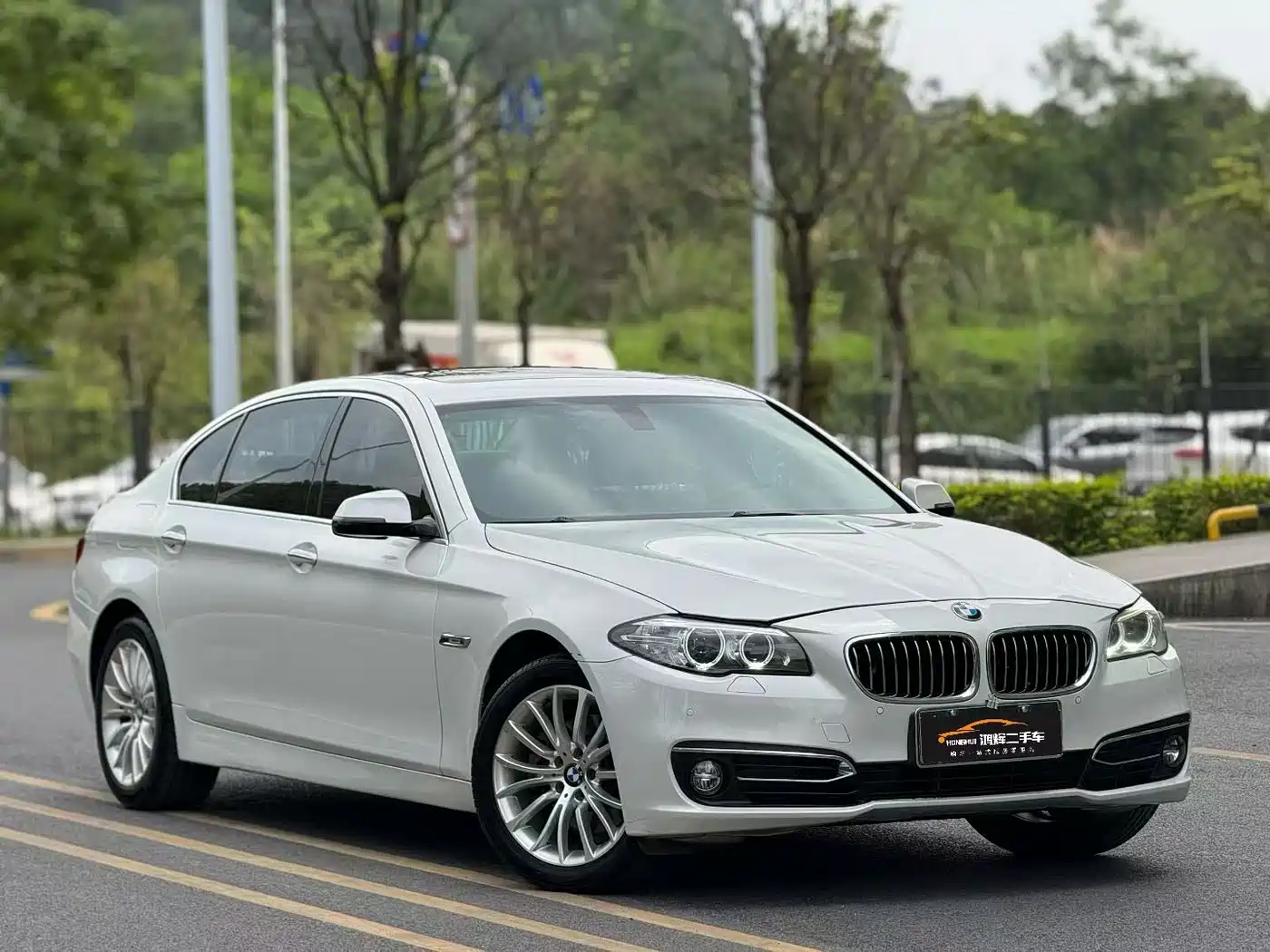 BMW 5 Series 2014 525Li Luxury Design Package фото 3