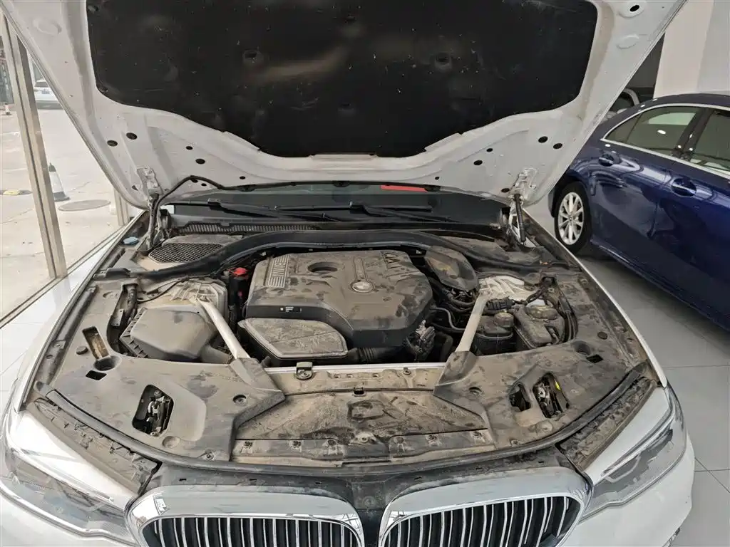 BMW 5 Series 2020 530Li Leading Luxury Package фото 10