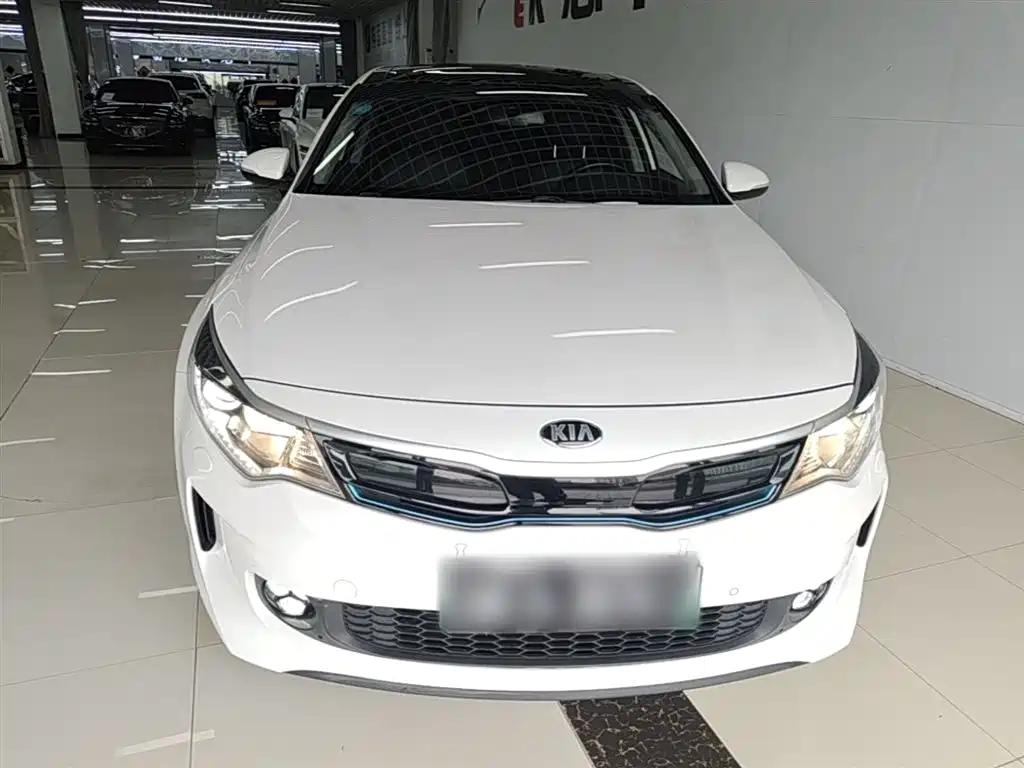 Kia K5 New Energy 2019 2.0L LUX фото 3