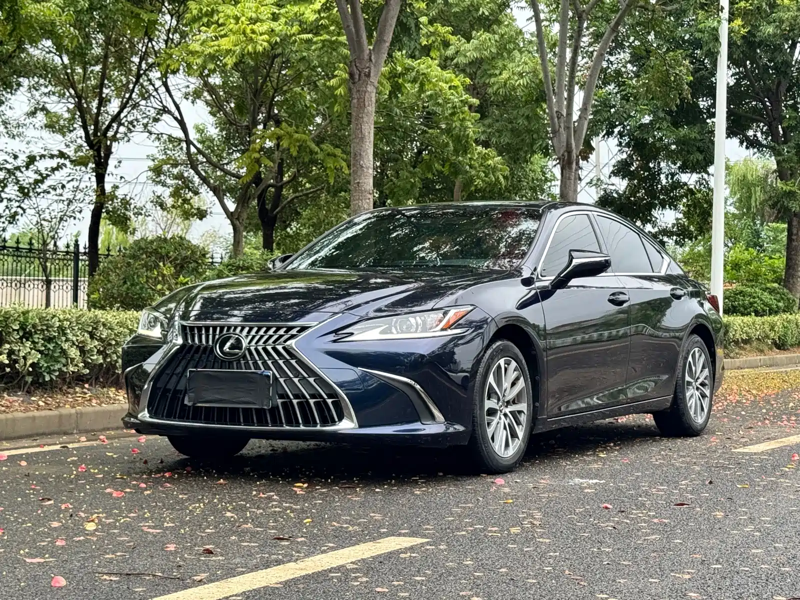 Фото 1 - Lexus ES