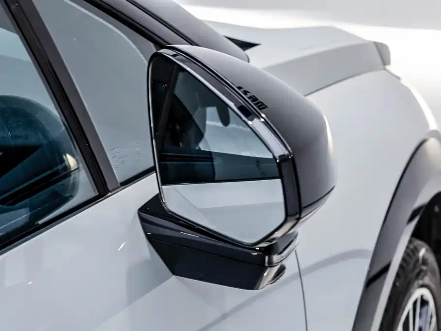ZEEKR X 2023 2023 AWD YOU Edition 4-Seater