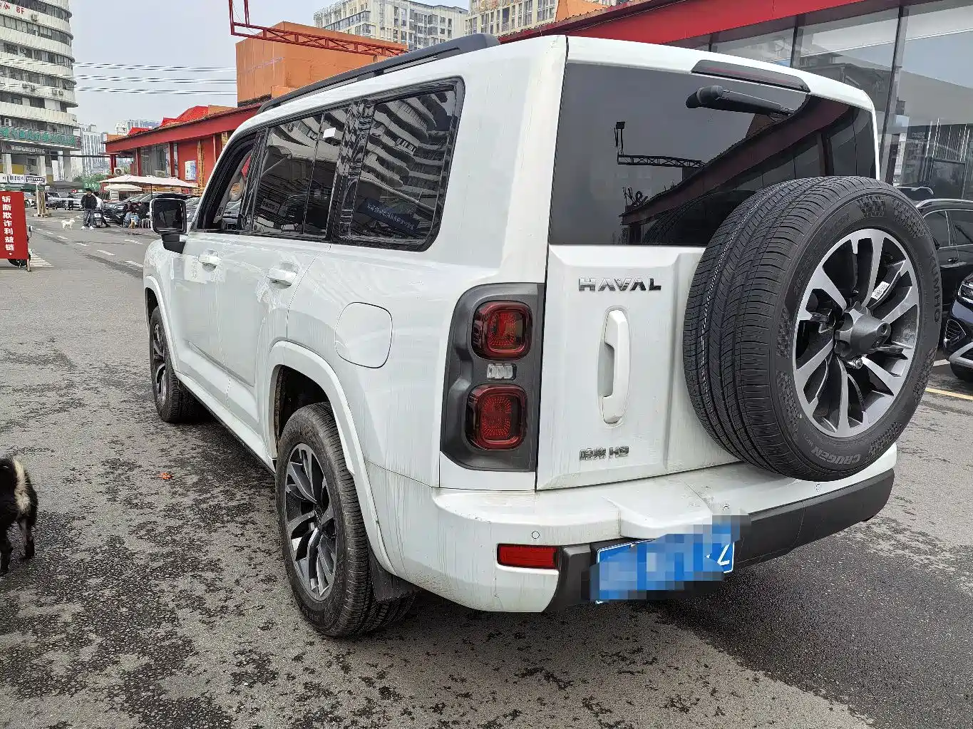 HAVAL H9