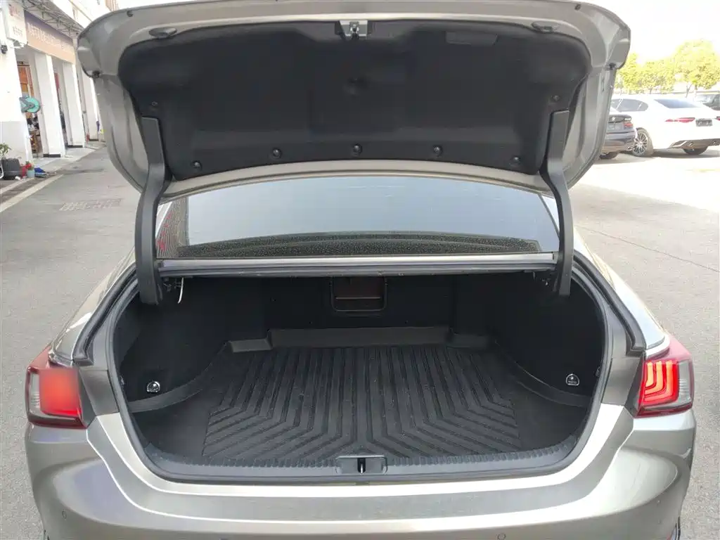 Lexus ES 2018 300h Excellence Edition China V фото 19