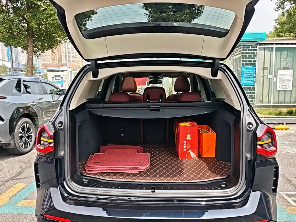 BMW iX3 2025 2024 Leading Edition