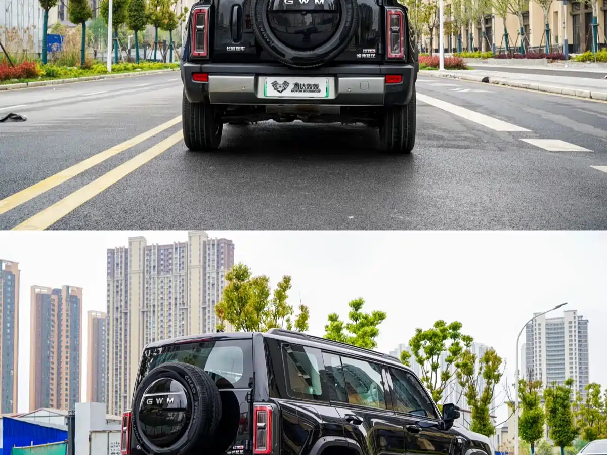 HAVAL RAPTORS NEW ENERGY