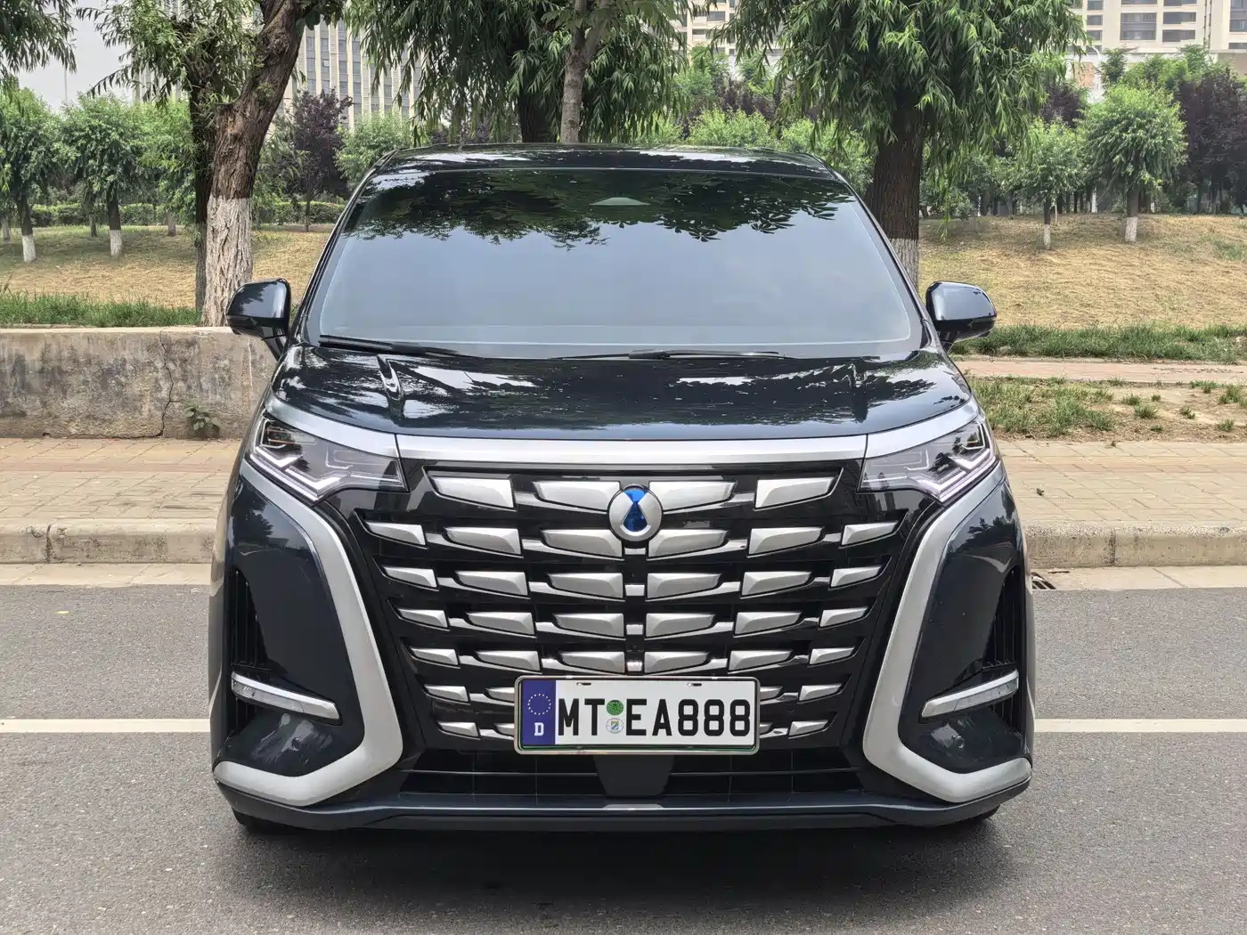 Denza D9 2022 DM-i 970 All-Wheel Drive Honor Edition фото 2