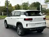 Фото 9 - Geely ICON