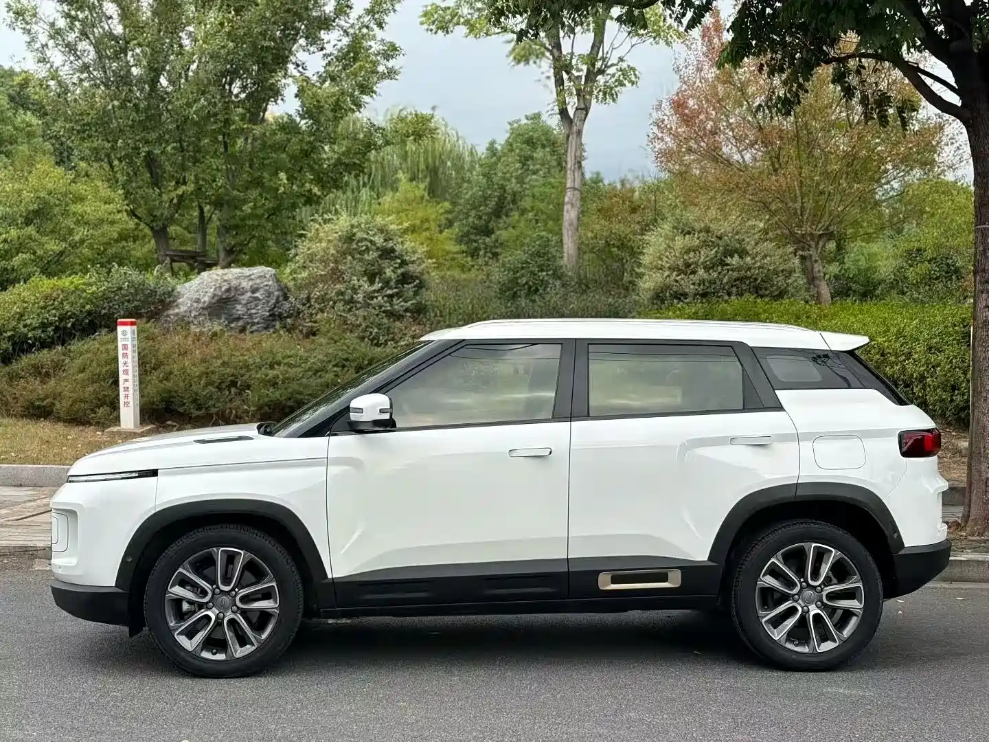 Фото 8 - Geely ICON