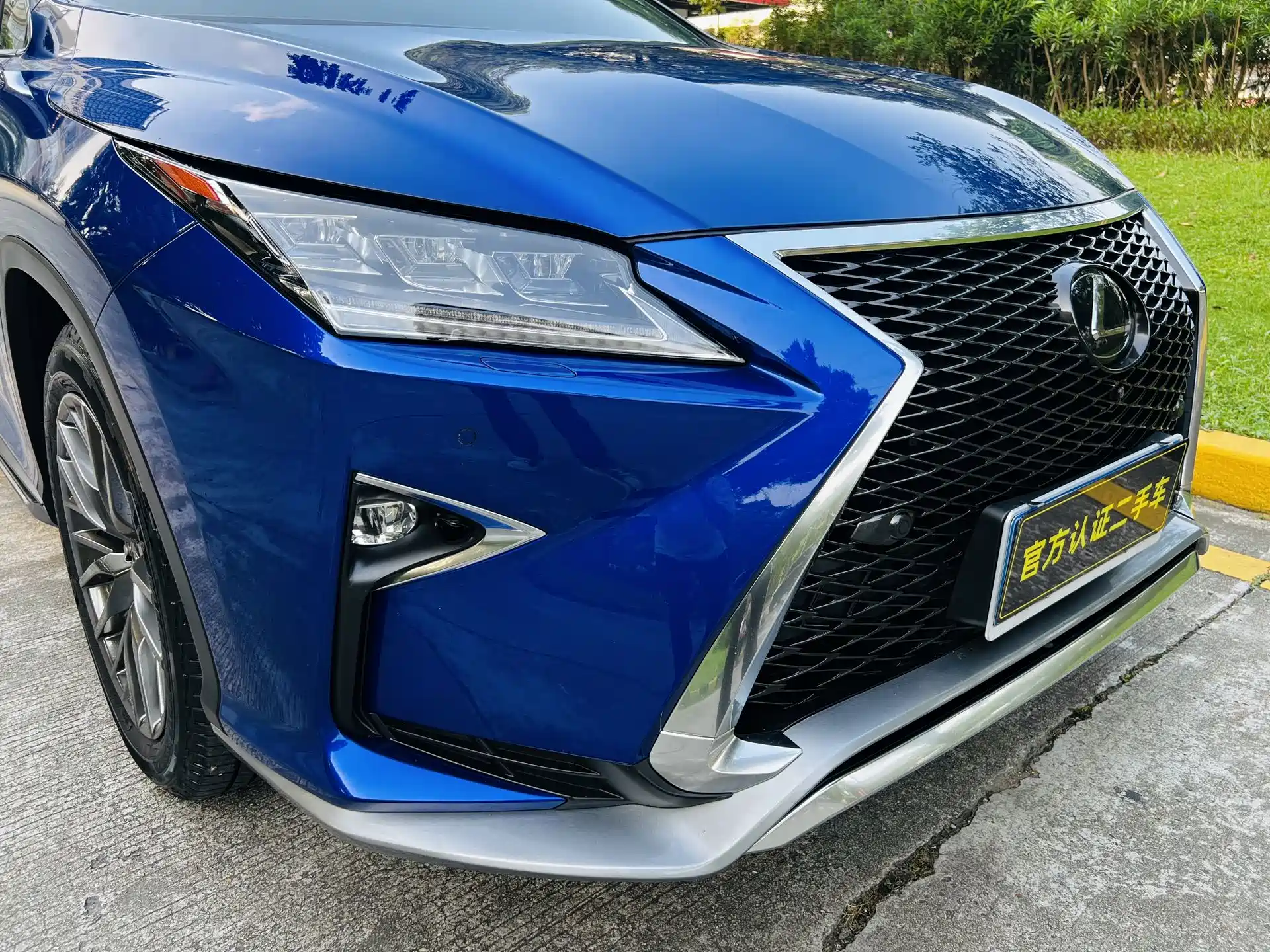 Фото 19 - Lexus RX