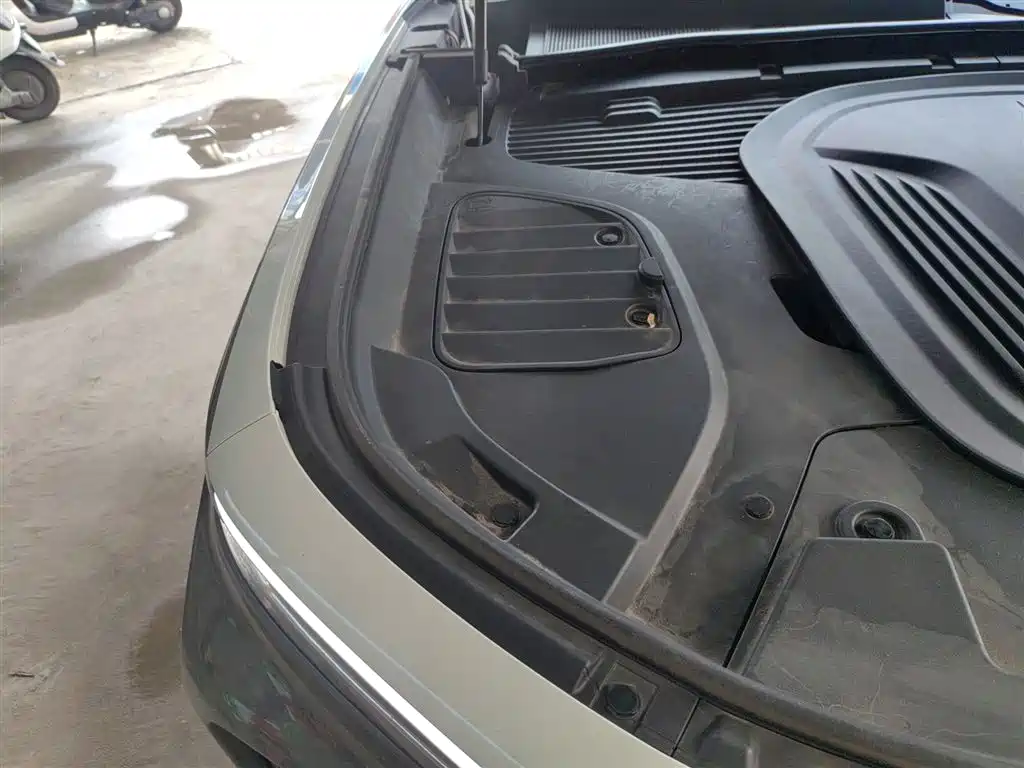 Hongqi E-HS9 2022 660km Qi Ling Edition (4-seater) фото 21