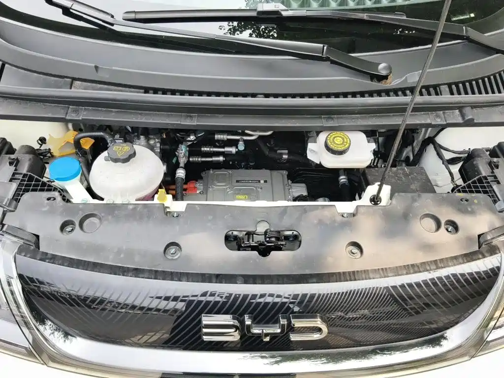 BYD Dolphin 2026 2025 420km Freedom Edition