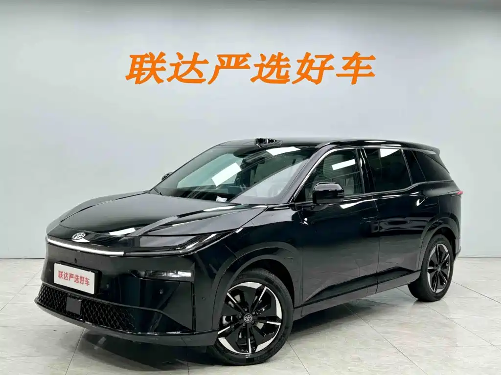 Фото 2 - Toyota BoZhi 3X