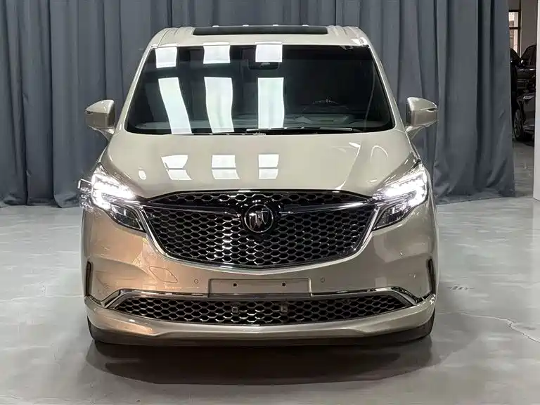 Buick GL8 2022 ES Landmark 653T Flagship фото 13