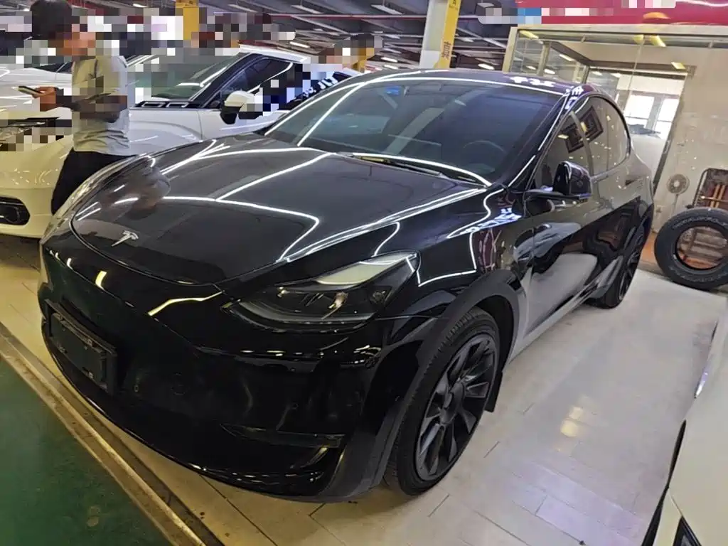 Tesla Model Y 2021 Standard Range Rear-Wheel Drive