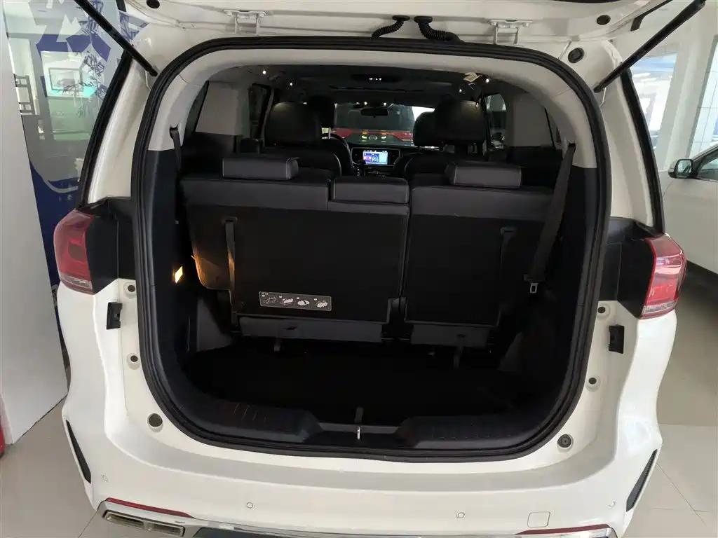 GAC Trumpchi Trumpchi M8 2020 Pilot 390T Premium Edition фото 19