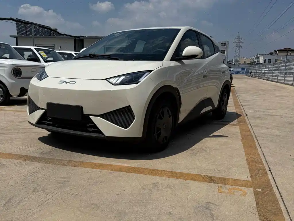BYD Seagull 2026 2025 Smart Drive Edition 305km Vitality Version
