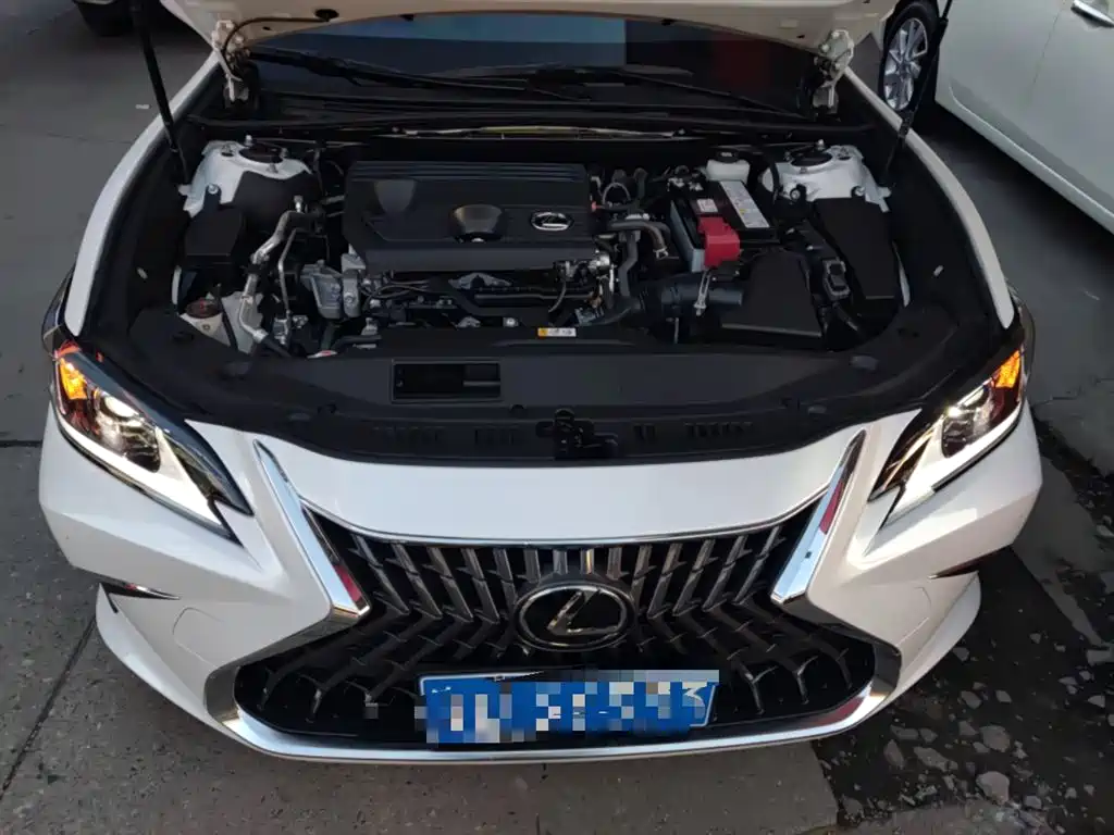 Lexus ES 2023 200 Excellence Edition фото 10