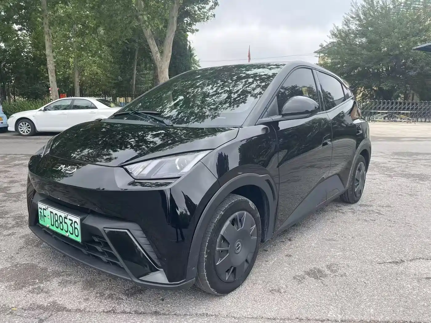 BYD Seagull 2024 Glory Edition 305km Vitality Edition