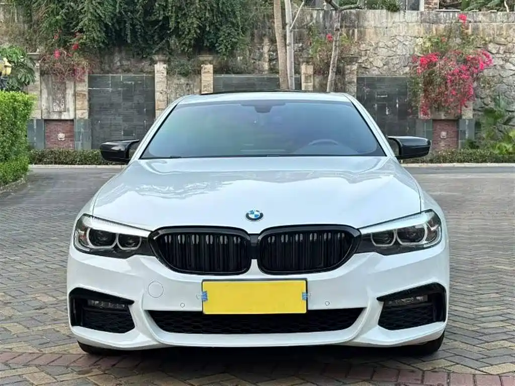 BMW 5 Series 2019 530Li Leading M Sport Package фото 2