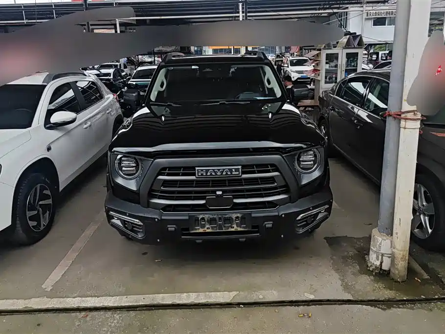 HAVAL BIG DOG