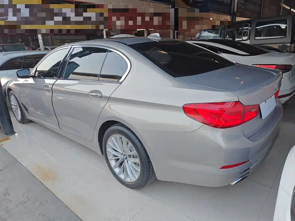 BMW 5 Series 2018 530Li Leading Luxury Package фото 21