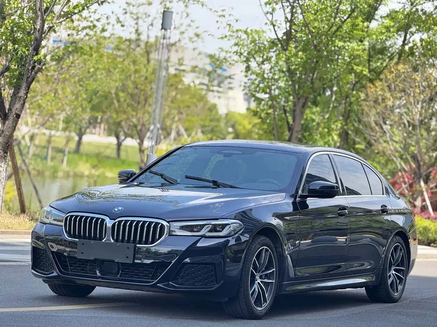 BMW 5 Series New Energy 2022