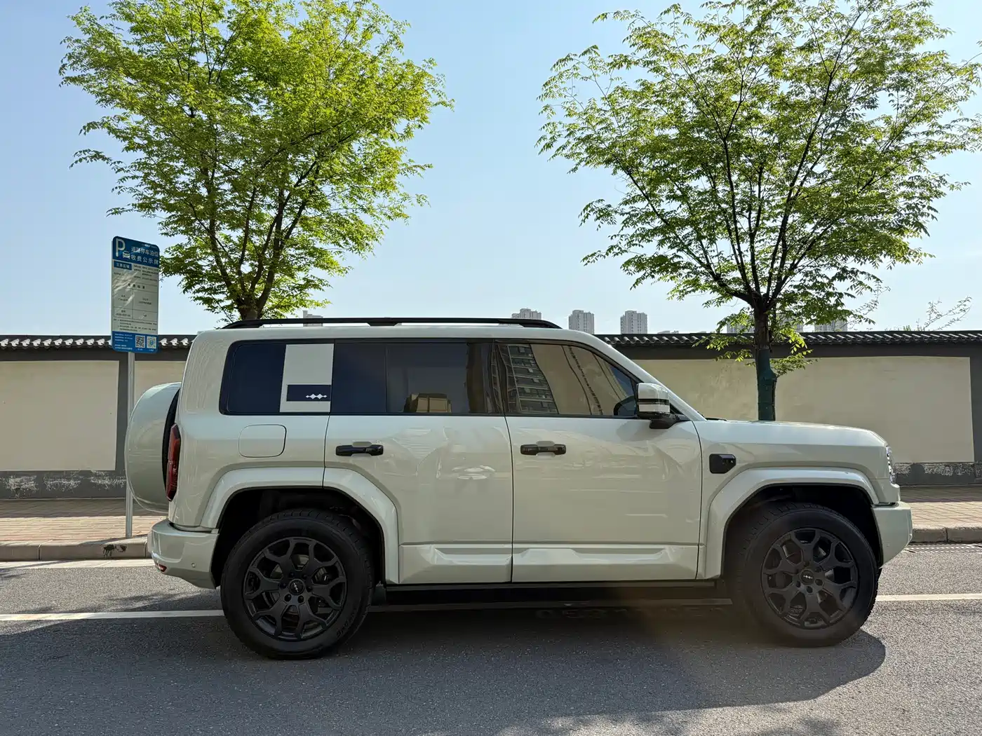 FANG CHENG BAO LEOPARD 5