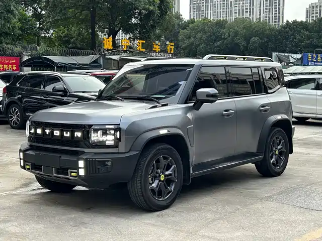Jetour Shanhai T2 2024 C-DM 129KM Forest Edition