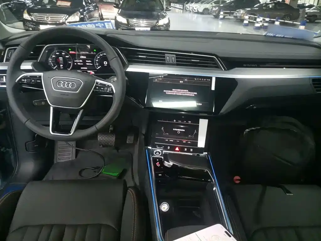 Audi e-tron 2021 50 quattro Luxury фото 7
