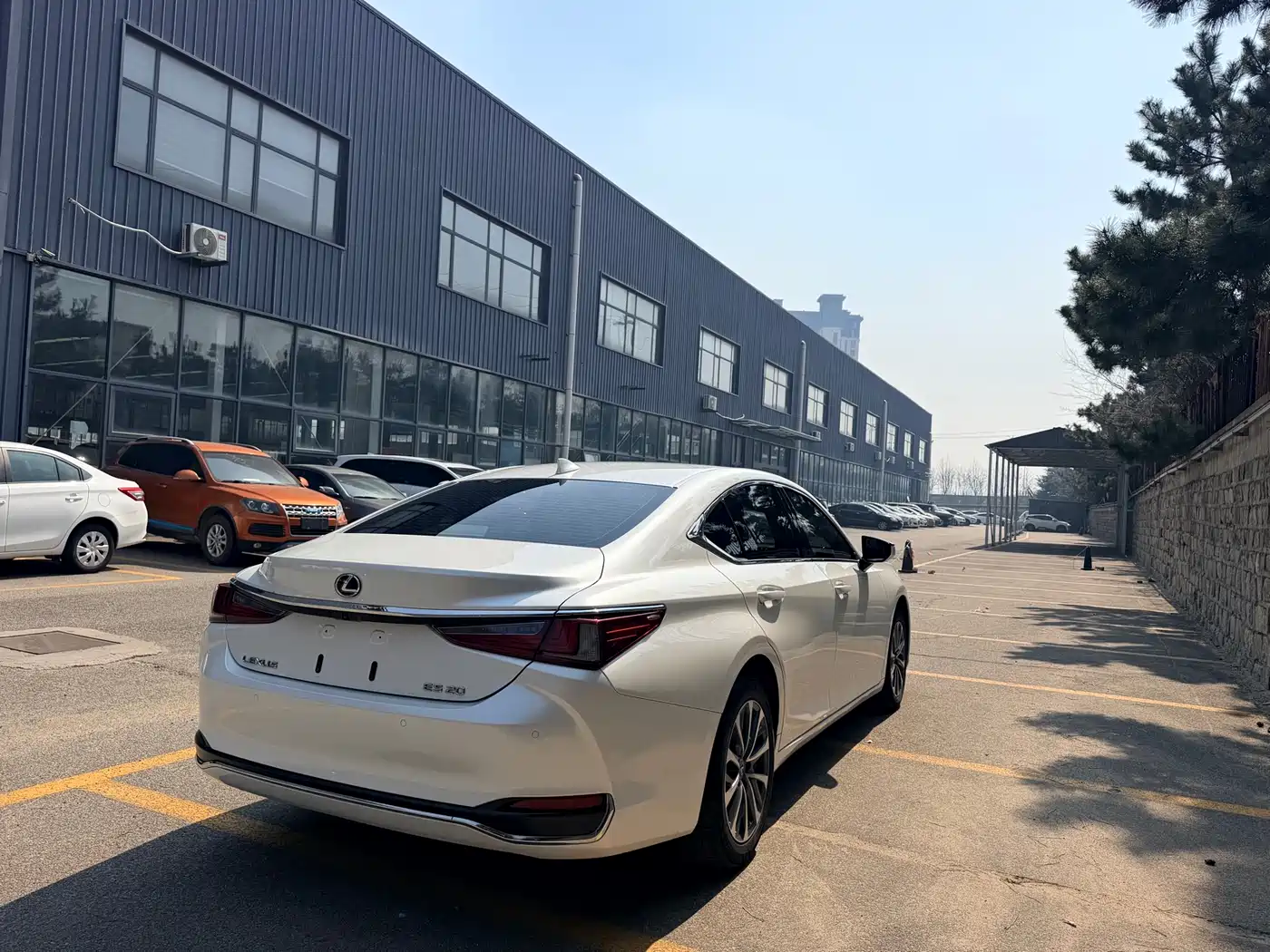 Lexus ES 2024 200 Premium Edition фото 9