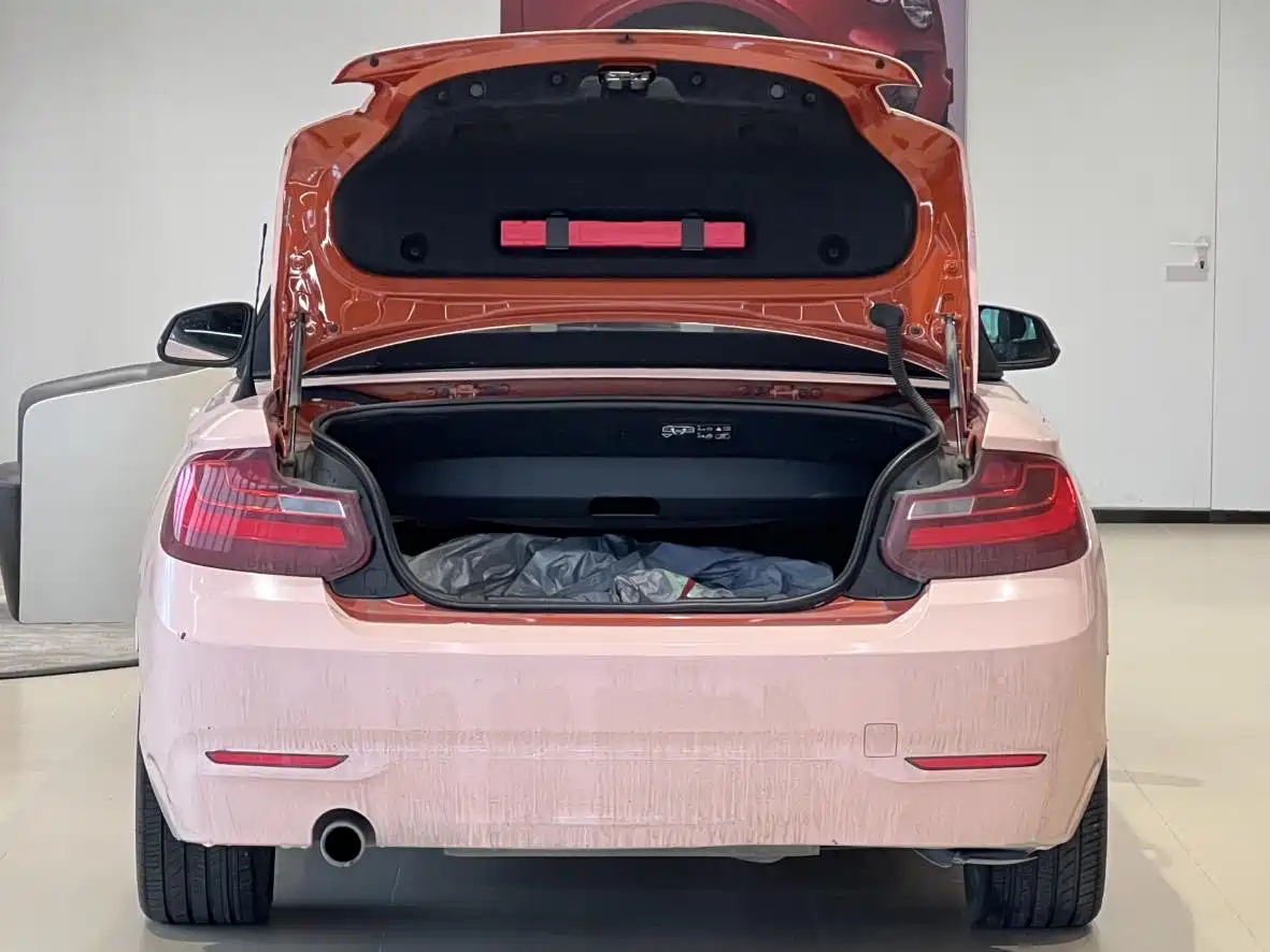 BMW 2 Series (Import) 2015 220i Convertible Coupe Leading фото 16