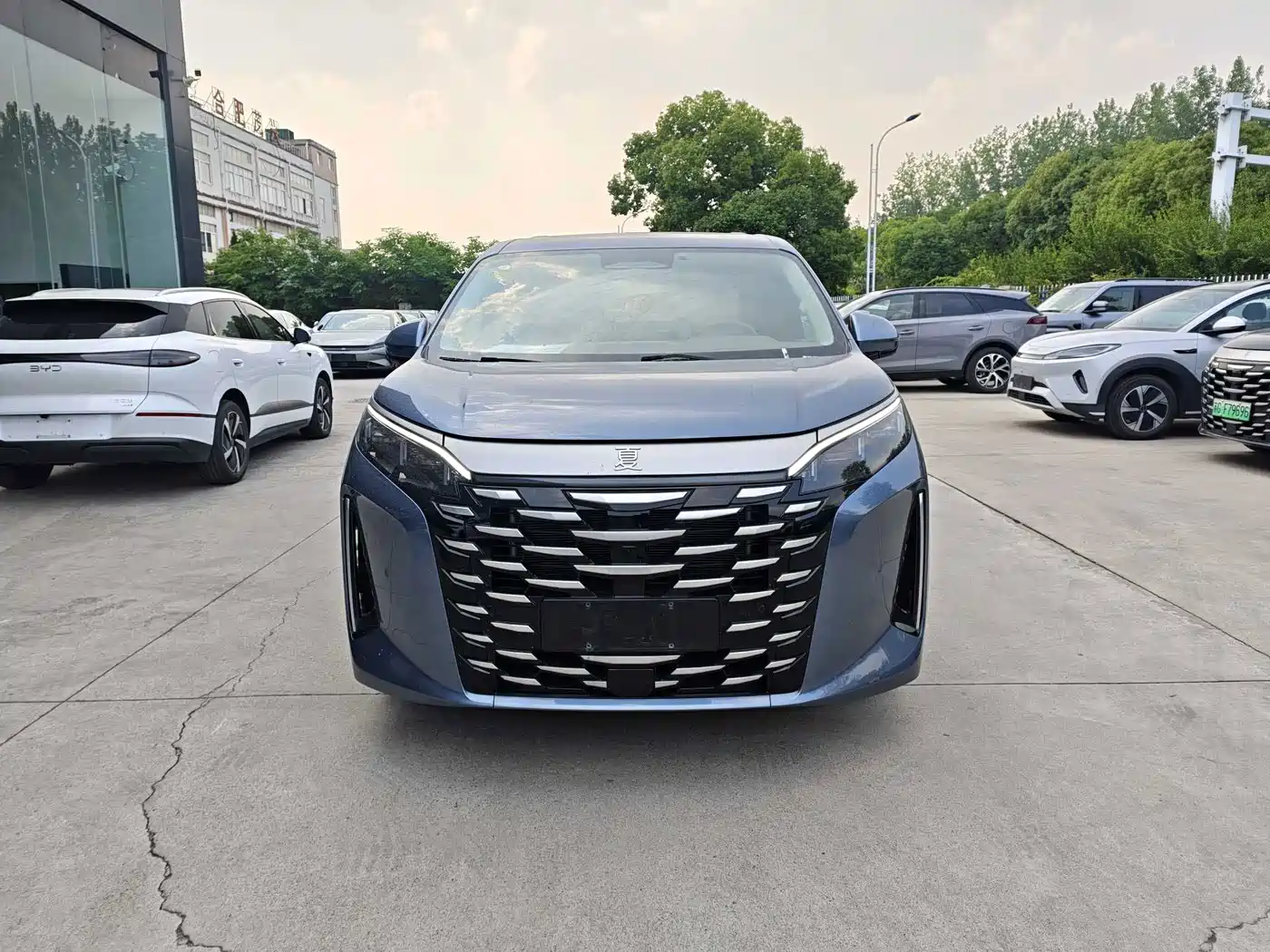 BYD Xia 2025 2025 DM-i 1.5T 180km Surpass Edition
