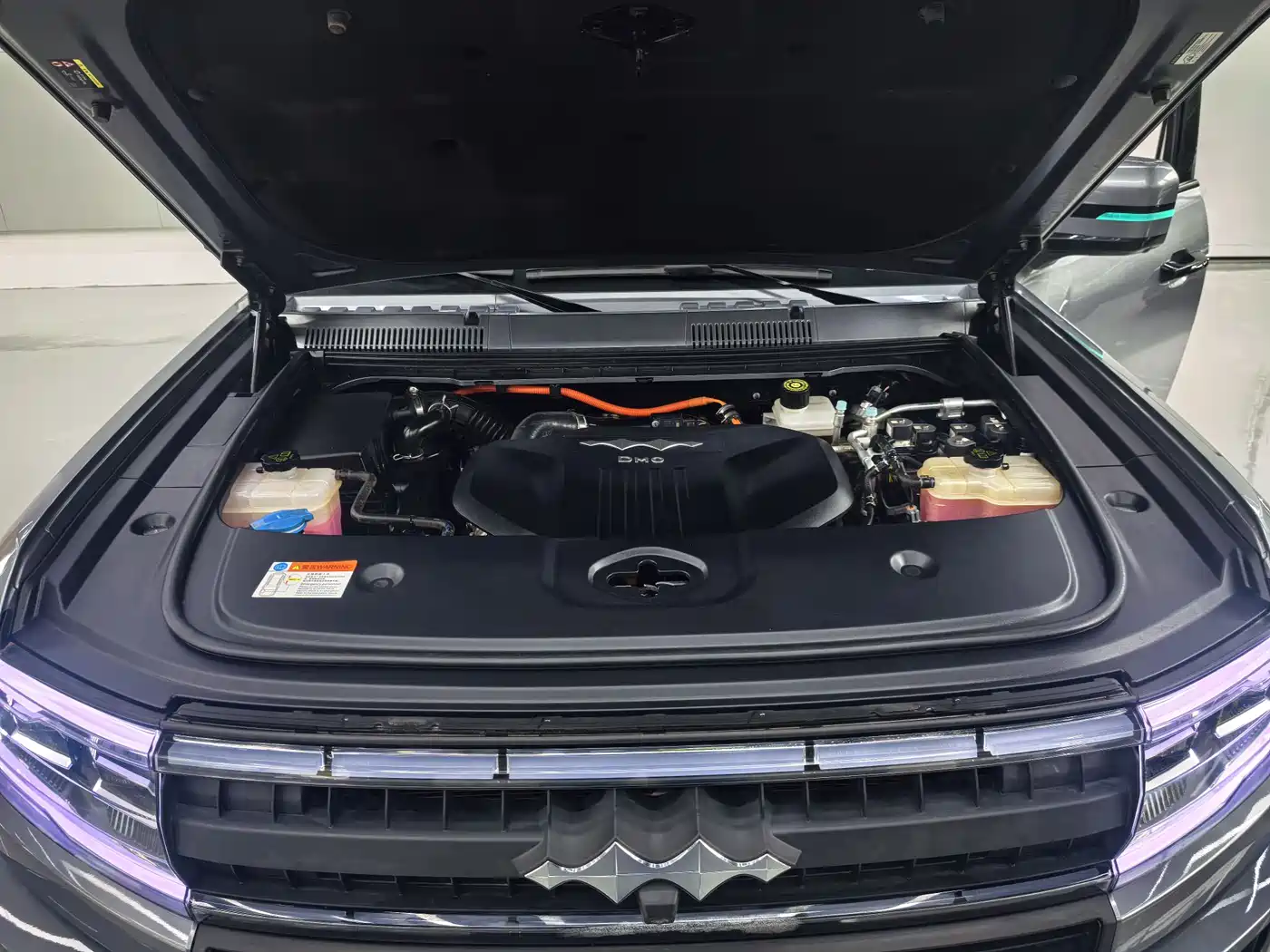 FANG CHENG BAO LEOPARD 5