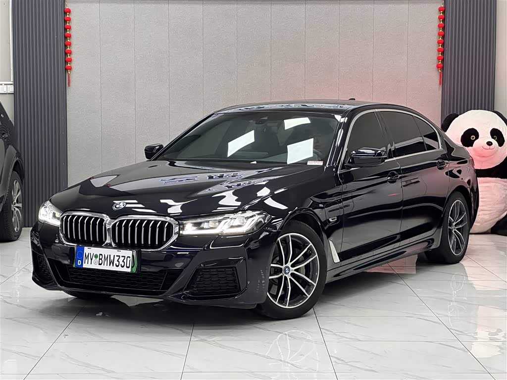 BMW 5 Series New Energy