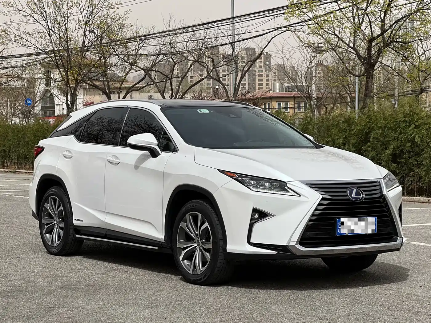 LEXUS RX