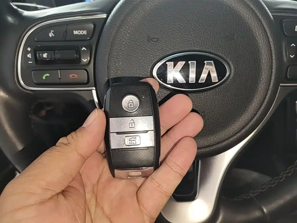 Kia K5 New Energy 2019 2.0L LUX фото 9