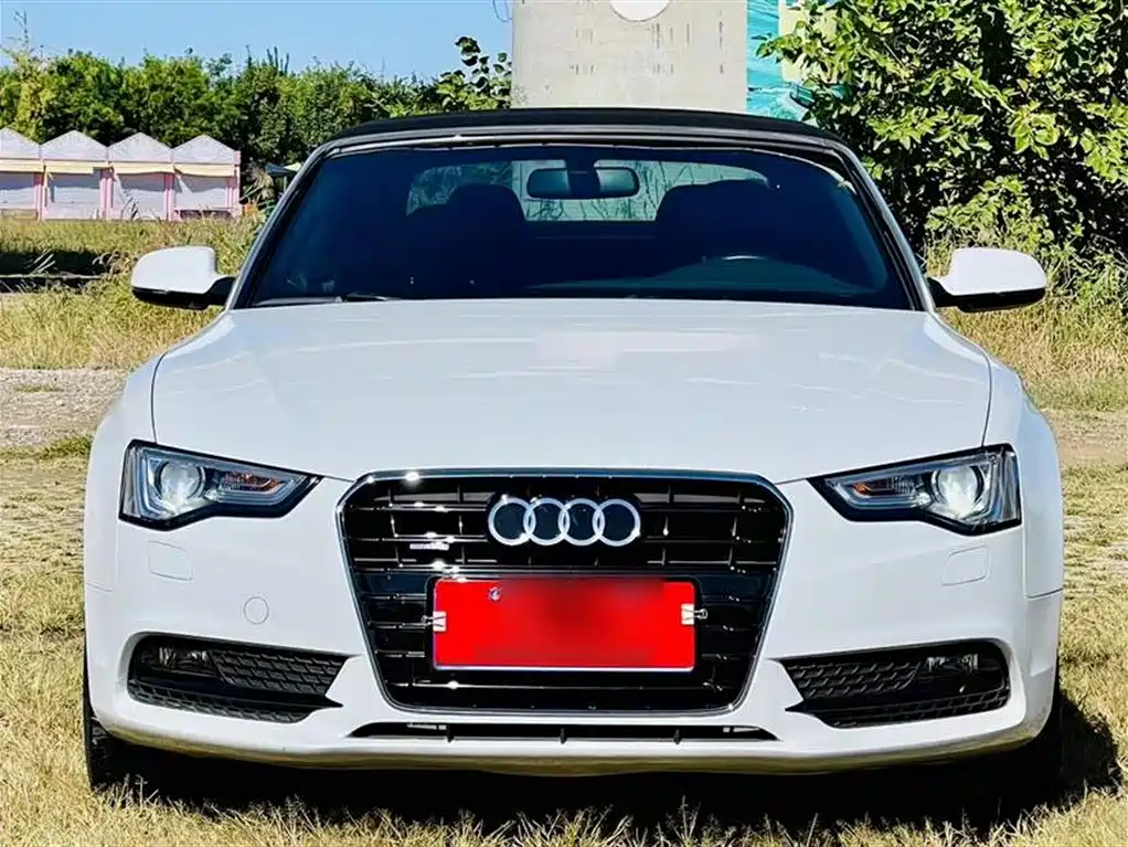 Audi A5 (Import) 2014 Cabriolet 45 TFSI quattro фото 14