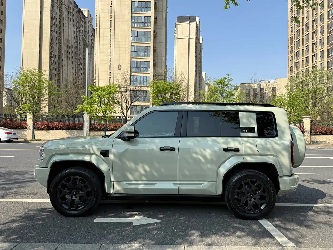 FANG CHENG BAO LEOPARD 5