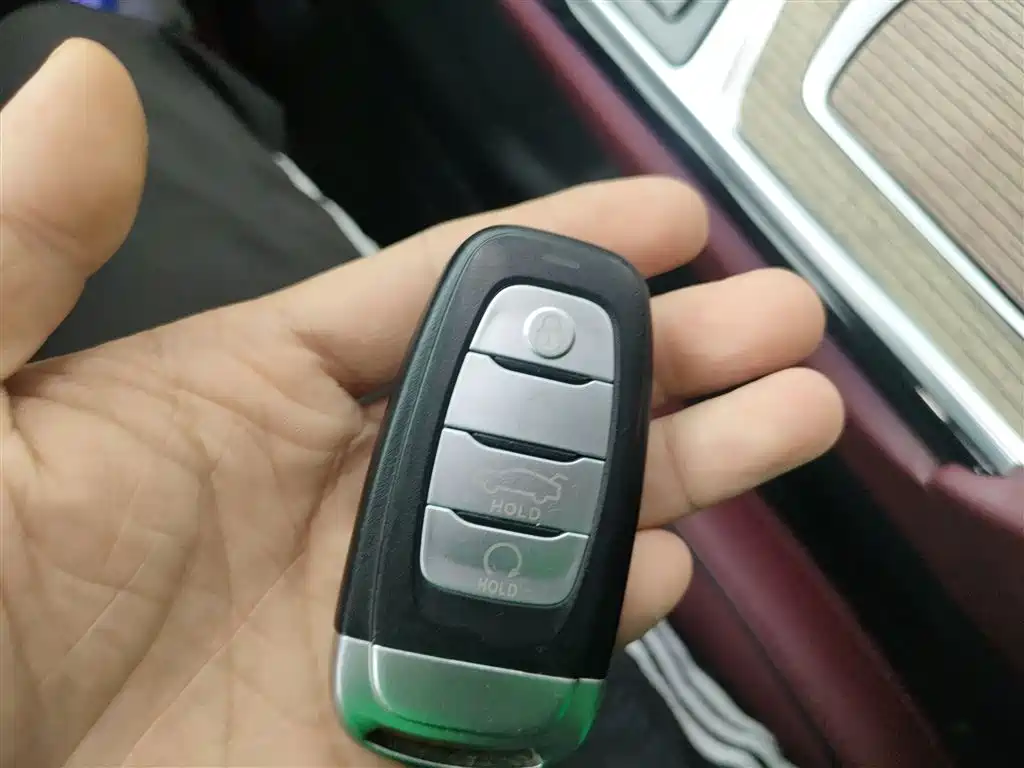 Hongqi E-HS9 2022 690km Qi Xiang Edition (6-seater) фото 11