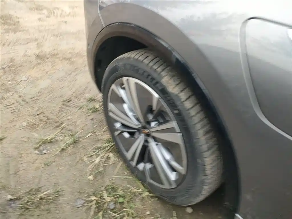 Hongqi E-HS9 2022 690km Qi Xiang Edition (6-seater) фото 25