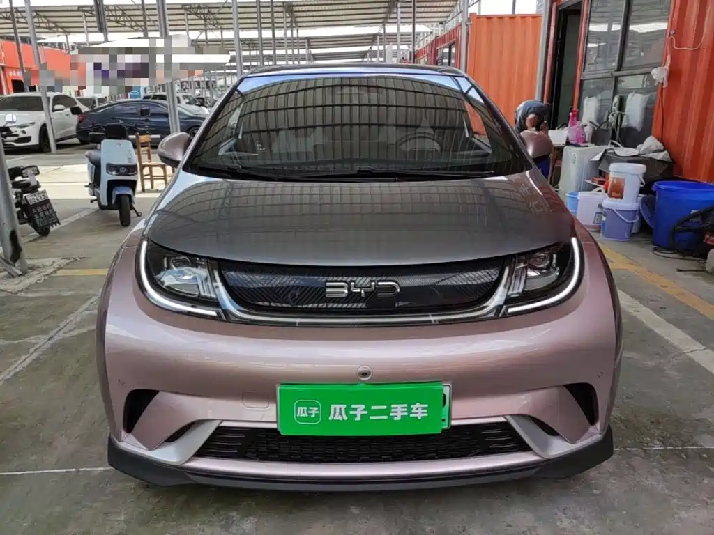 Photo 3 - BYD Dolphin